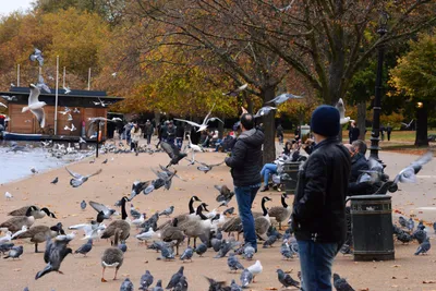 DSC_0653 (Large).JPG